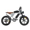 X70G Electric Bicycle - 750W motor, 80km range, maximum load capacity 150kg