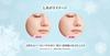 Snow Beauty Whitening Skin Care Powder (Refill) [Quasi-drug]