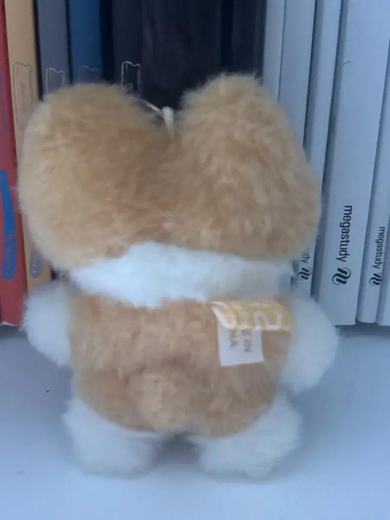 Taragi keyring Used