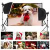Pet Themed Christmas Photography Backdrop,Party Banner,Wall Decor,for Parties Backdrops,Holiday Decor,Photo Studio