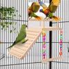 Bird Perch Swing Wooden Parrot Training Stand With Climbing Ladder And Mirror Pet Cage Accessories Bird Perching Toy