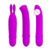 Female 10 Frequency Vibrator Multi-Speed Silicone Vibration Waterproof Massager
