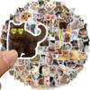 100Pcs Cute Funny Cat Meme Animals Graffiti Stickers Phone Guitar Laptop Notebook Suitcase Cup Waterproof Sticker Kids Toy