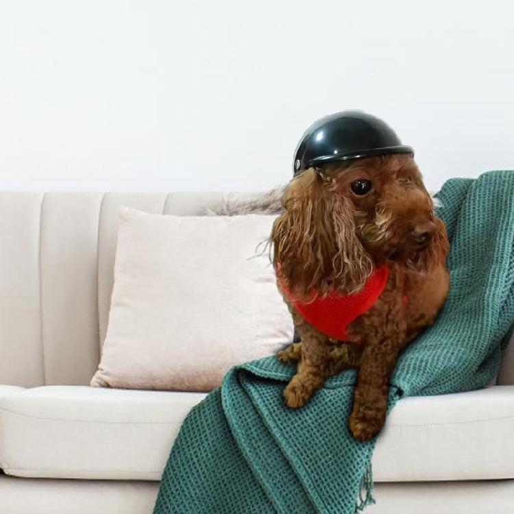 Motorcycle Dog Helmets Photography Pet Puppy Head Cover Dog Helmets