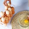 6/10 Holes Egg Storage Container Refrigerator Holder Display Organisers