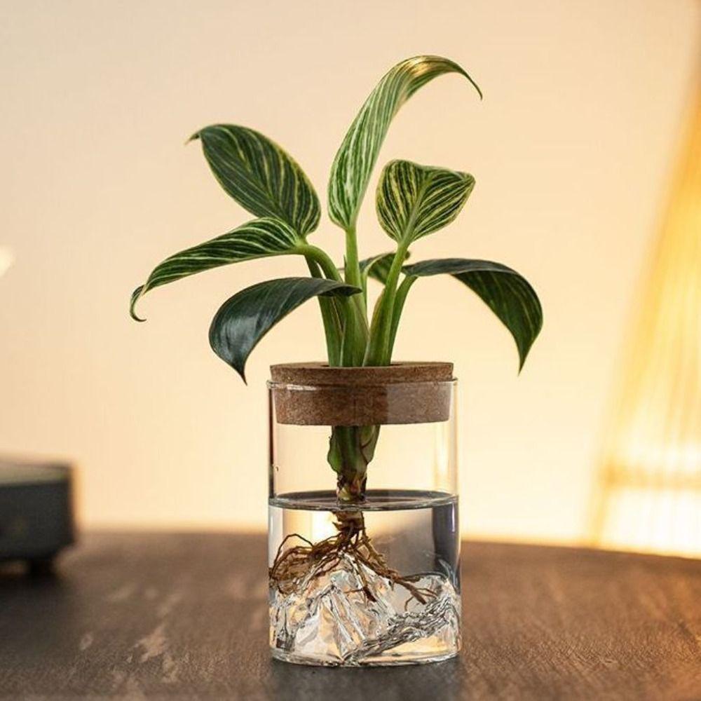 Thickened Hydroponic Flower Holder Glass Flower Pot Plants Holder Flower Vase  Desktop