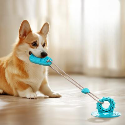 Köpek – Köpek oyuncakları
