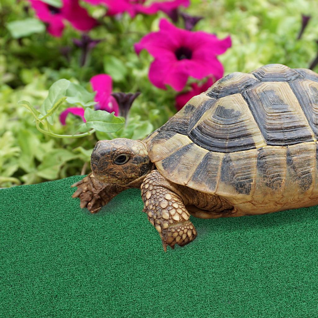 Synthetic Grass Mat Turtle Basking Ramp Aquarium Reptile Resting Platform Realistic Garden Turf Mat for Fish Tanks and