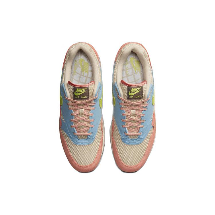 Nike Air Max 1 'Light Madder Root' DV3196-800