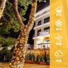 Solar LED String Lights, Outdoor Waterproof, 50 Bulbs, 7M, 8 Modes, Automatic Nighttime Lighting, Multifunctional Decoration