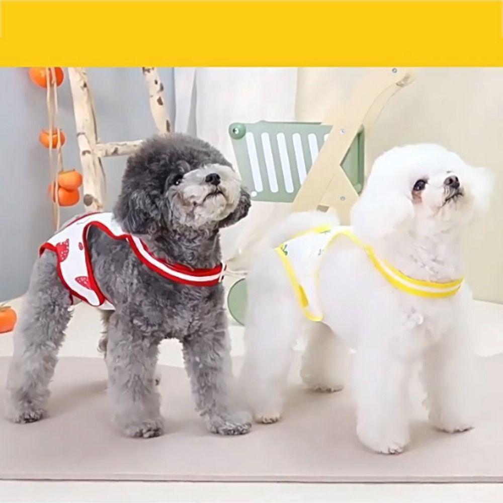 Unterwäsche Haustier Physiologische Hose Windel Katze Shorts Welpenbedarf Hündinnenwindeln Für Hund/Katze