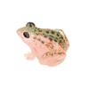 Luminous Toad Small Frog Model Decoration Micro Landscape Doll House Decoration Desktop Decoration