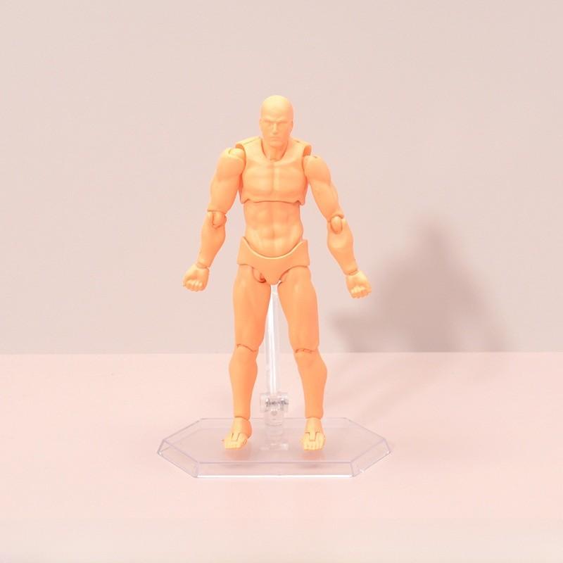 Action Figma Figure Male Female Pvc Model For Drawing And Enthusiasts Display