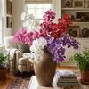 Plastic Phalaenopsis Branch Moisturizing Real Touch Orchids Simulation Flower  Office Decor