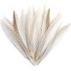 Pheasant Feathers 10 Pieces, White Natural Pheasant Feathers Decorative Chicken Tail Feathers for DIY Crafts, Birthday, Wedding Party Centerpieces,