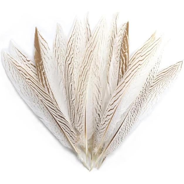 Pheasant Feathers 10 Pieces, White Natural Pheasant Feathers Decorative Chicken Tail Feathers for DIY Crafts, Birthday, Wedding Party Centerpieces,