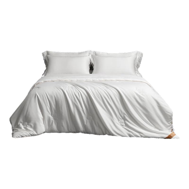 

Beyond Home Textiles 100-Count Cotton Mulberry Silk Quilt 220cm x 240cm