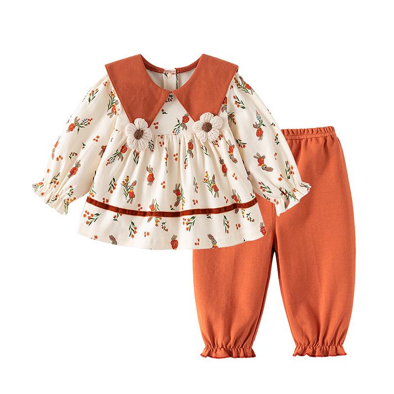 

Girls Spring & Autumn Two-Piece Set: Long Sleeve Top & Pants, Pure Cotton, Fashionable Baby Outfit. 66 cm