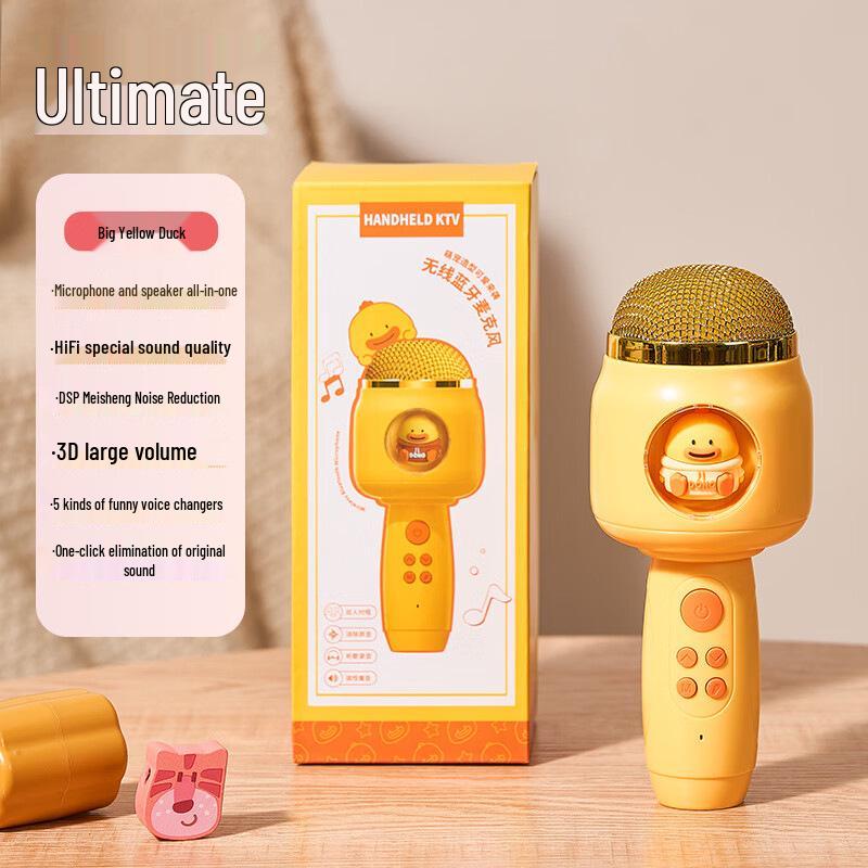 Kabelloses KTV-Mikrofon und Lautsprecher für Kinder - Singspielzeug für Familienspaß