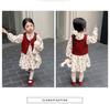 2025 Autumn Floral Dress & Sweater Vest Set for Girls – Fashionable Princess Outfit