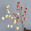 100 Cm Artificial Small Hydrangea Flower Simulation Plastic Fake Flowers  Home Vase Decor