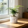 Thick Wall Flowerpot 3D Printed Cat Paw Print Flower Pot, Cute Small Plant Pot for Integrated Molding Desk, Animal Theme Planter Home Office,