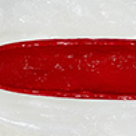 

LAQLANC Power Vitality Lip Balm 3.6g (2 types) (Red Balm/Sunset Balm) Red Bomb