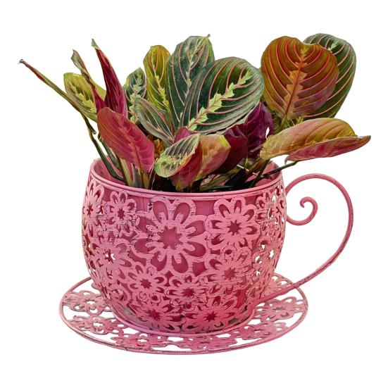 

Винтажная чайная чашка-кашпо Железная с цветочным вырезом Горшок для цветов Декоративный цветочный горшок для суккулентов, трав, цветов Садовый декор для помещений и улицы