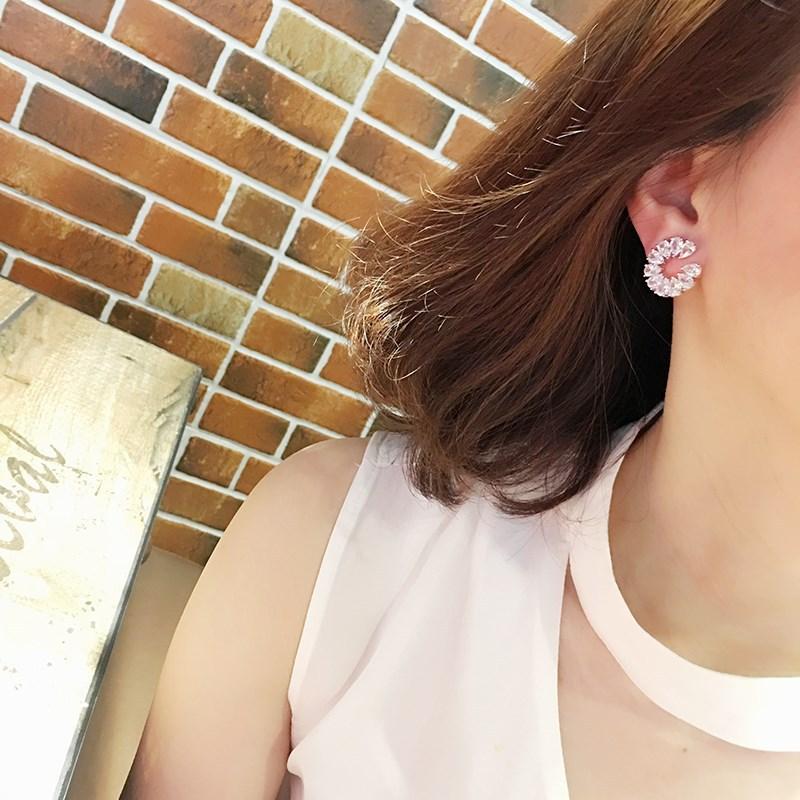 Micro-Set Sparkling Zircon Tremella Needle Earrings Women'S Simple Personality Temperament Earrings Accessories Ear Jewelry