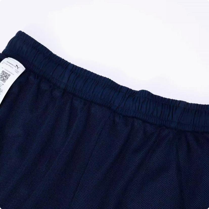 Puma Italy National Team Logo Pattern Printed Color Block Jogger Pants Men Jogger Pants Blue 767142-14