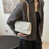 New Trendy Summer Fashion Light Luxury Fashionable Casual Square Bag Simple Fashion One-shoulder Crossbody Bag