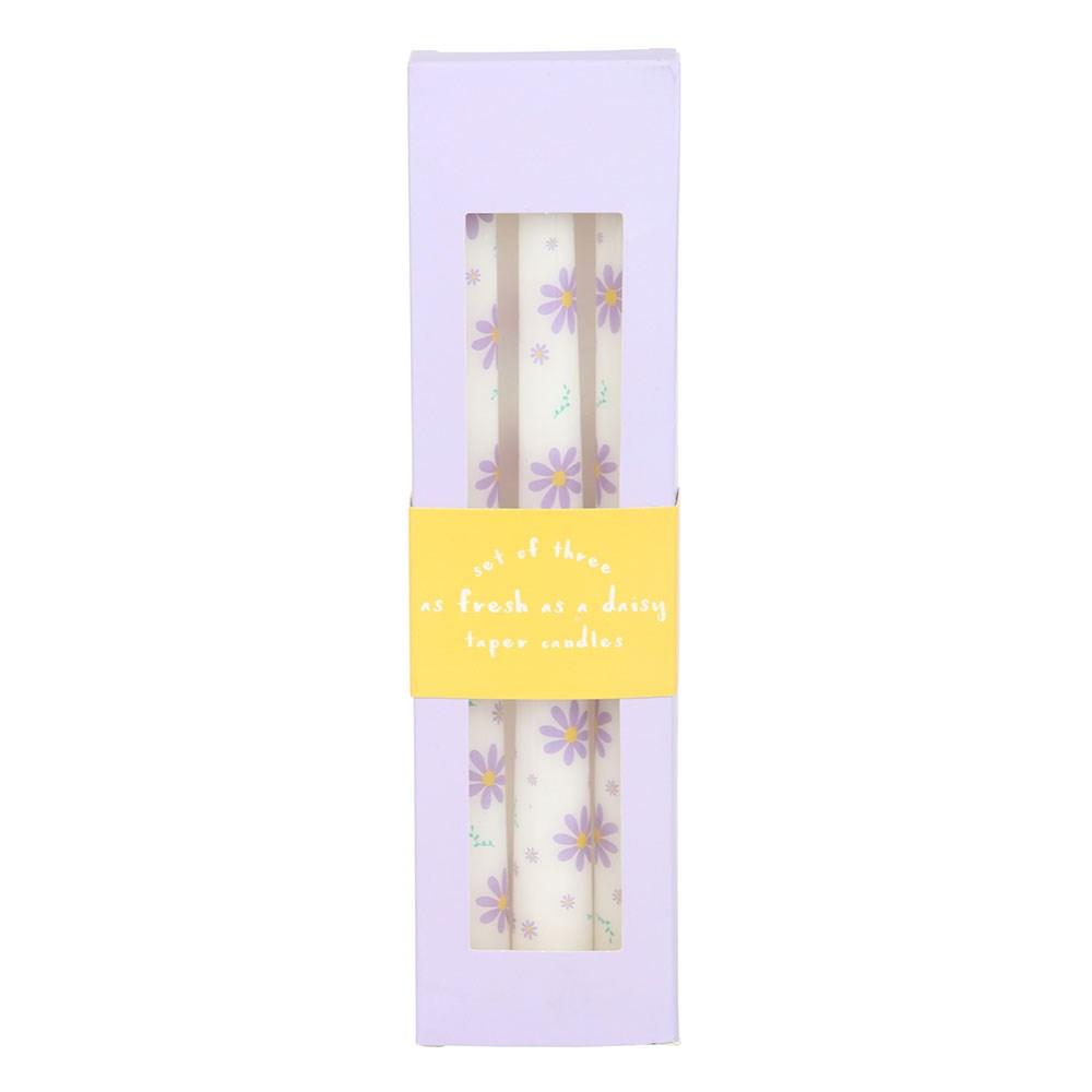 Something Different Daisy Taper Candle (Pack of 3)
