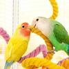 Bite Resistant Parrot Bird Toy Rope Hanging Parrot Standing Perch  Training