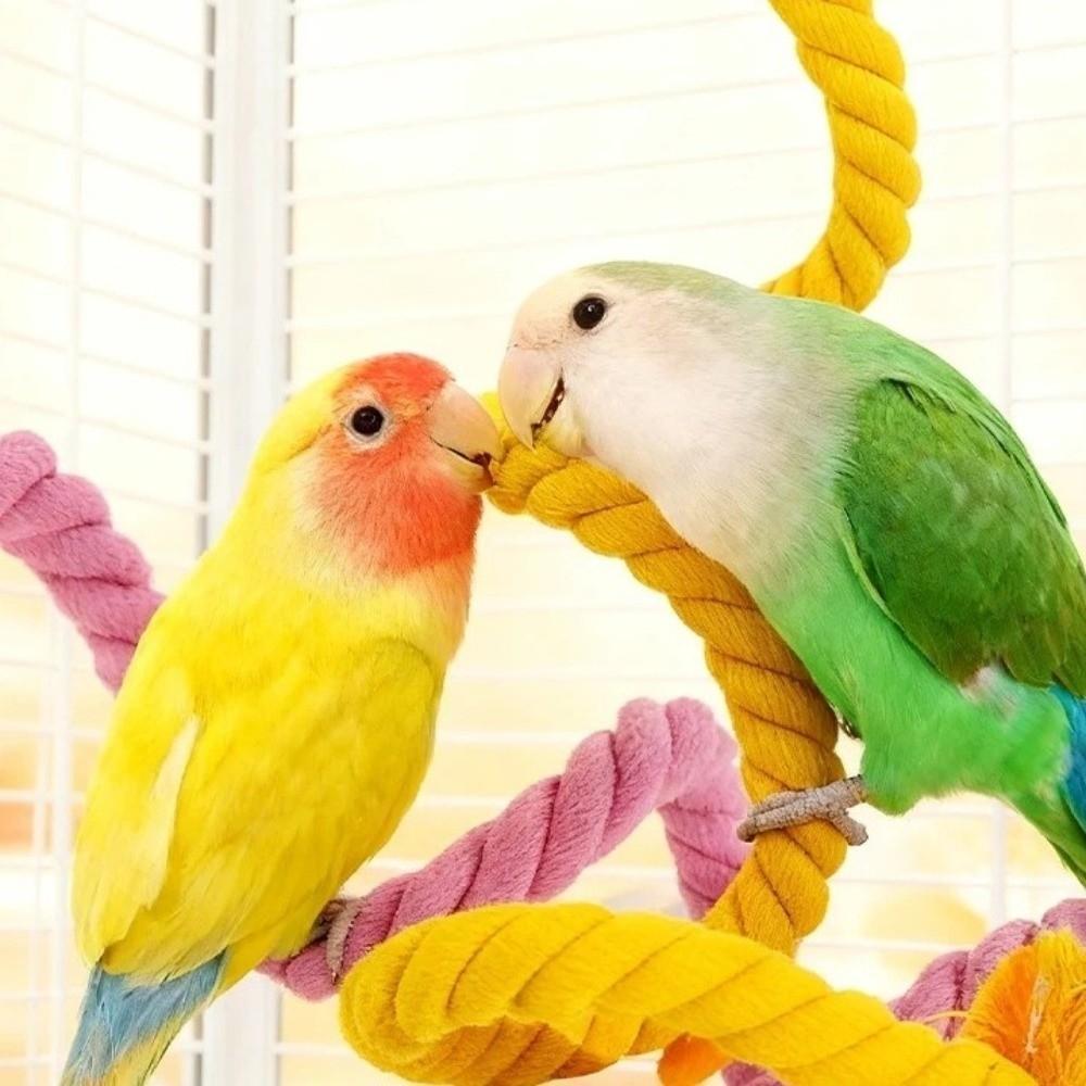Bite Resistant Parrot Bird Toy Rope Hanging Parrot Standing Perch  Training
