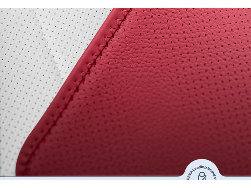 Fengyun A9L 2026 Rear Seat Cushion - Four Seasons Accessory