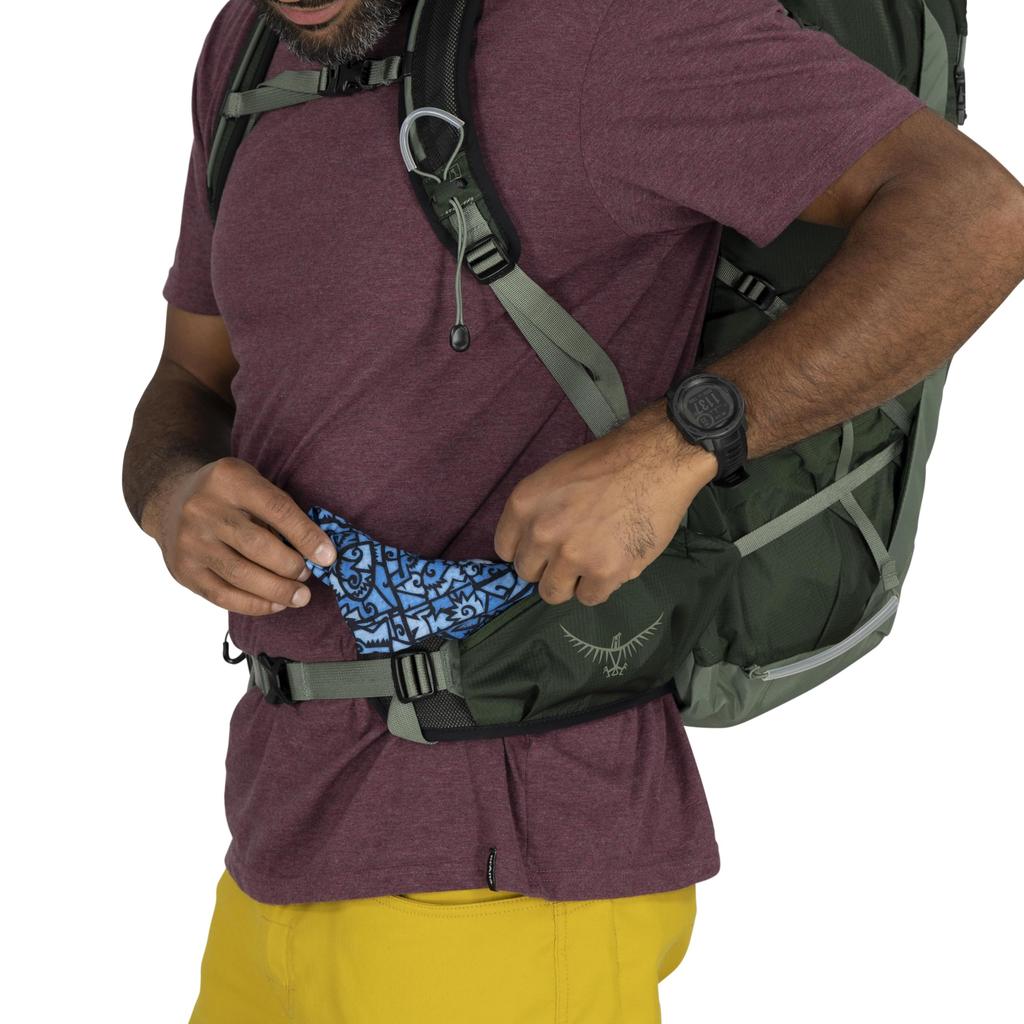 Osprey Talon 33L Lightweight Hiking Backpack with Green Leaf Men's Hipbelt, Canopy/Pine