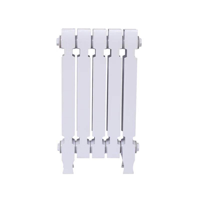 Cast Iron Wall-Mounted Radiator