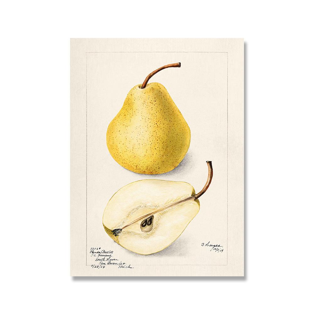 Vintage Retro Fruit Poster Avocado Strawberry Scandinavian Canvas Painting Wall Art Pictures Prints for Kitchen Room Decor