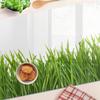 Glass Decorative Board with Graphics for Serving Snacks Grass 80x52 Cm