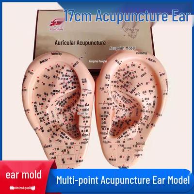 Ultra-Klares Graviertes Ohr-Akupunktur-Modell mit Ohrmuschel-Massage, 17cm