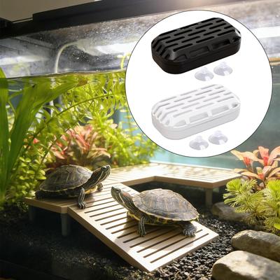 Reptiles – Terrarios de reptiles