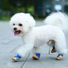Breathable Summer Dog & Kitten Shoes Small Puppy Booties, Anti-Slip Paw Protector Outdoor Net Footwear Essential Pet Accessories