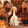 Fall Porch Outfit, Clothes for and Yard Decoration, Not Included