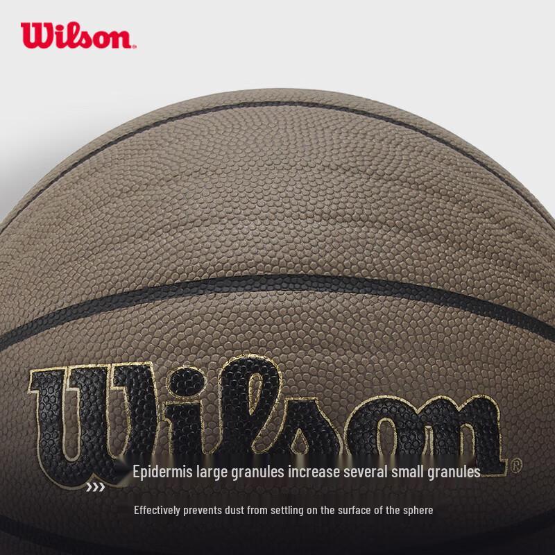 Wilson NBA Wave Indoor/Outdoor Basketball