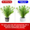 Aquatic Plants Fixed Ring Fish Tank Plants Fix Basket Aquarium Accessories Aquarium Landscape Decoration Water Grass Fixed Cup