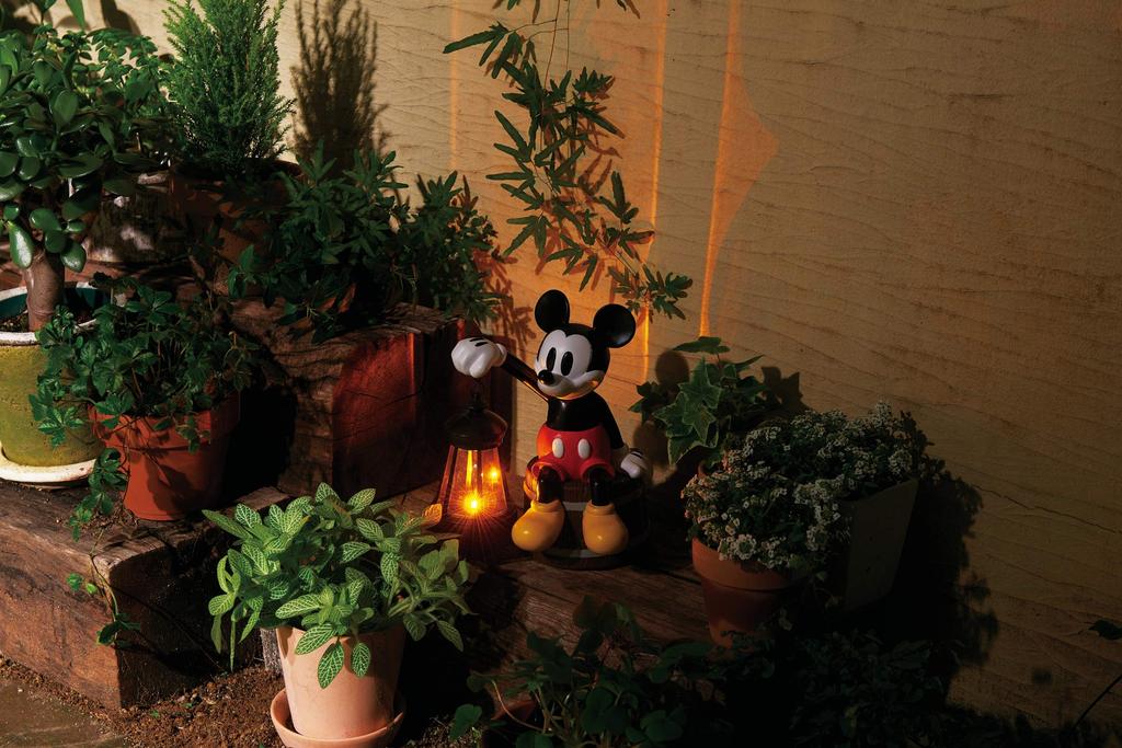 Seto Craft Solar Light (Mickey Mouse) SDD-2101 Black 17.3W X 14.7L X 21.7H Unit: Cm