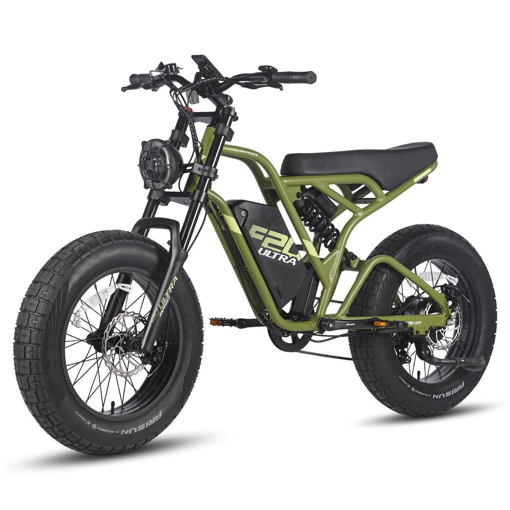 Electric Bicycle FAFREES F20 Ultra 20" 750W Motor Electric Bike Adult Top Speed 40Km/h 48V 25AH Range 140Km Load 180Kg