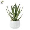 Retro Cement Cactus Bonsai - Small Faux Potted Plant for Office Decoration