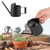 300ml Svart Rostfritt Stål Vattenkanna Inomhus Utomhus Växter Lång Pip Vattenkruka