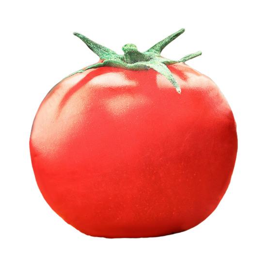 Gemüse Kissen Simulation Brokkoli Kürbis Paprika Tomate Aubergine Kartoffel Plüschtiere Ornament Sofakissen Gefülltes Plüsch Kissen zum Liegen Zuhause